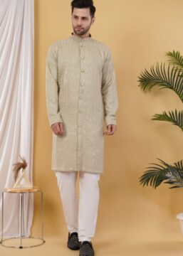 Men's Cotton Sequince Lines Embroidered Semi-Indo Western Kurta - Pista