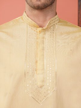 Men's Pure Cotton Embroidery Neck Work Kurta - Cream